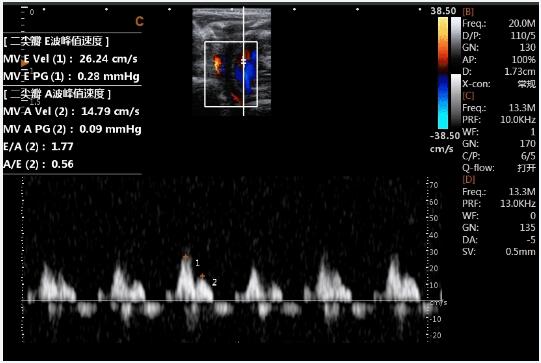 SonoBook 9 VET