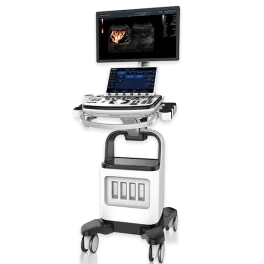 Is Cart-based Ultrasound the Best Choice for Multi-Department Use?
