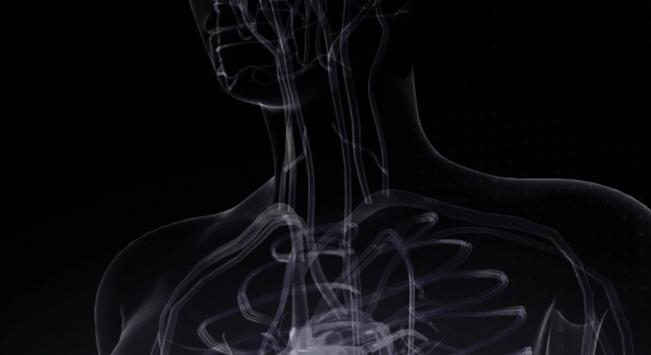 Meet SonoGO: The World’s First Three-in-One Ultrasound System Meet SonoGO: The World’s First Three-in-One Ultrasound System