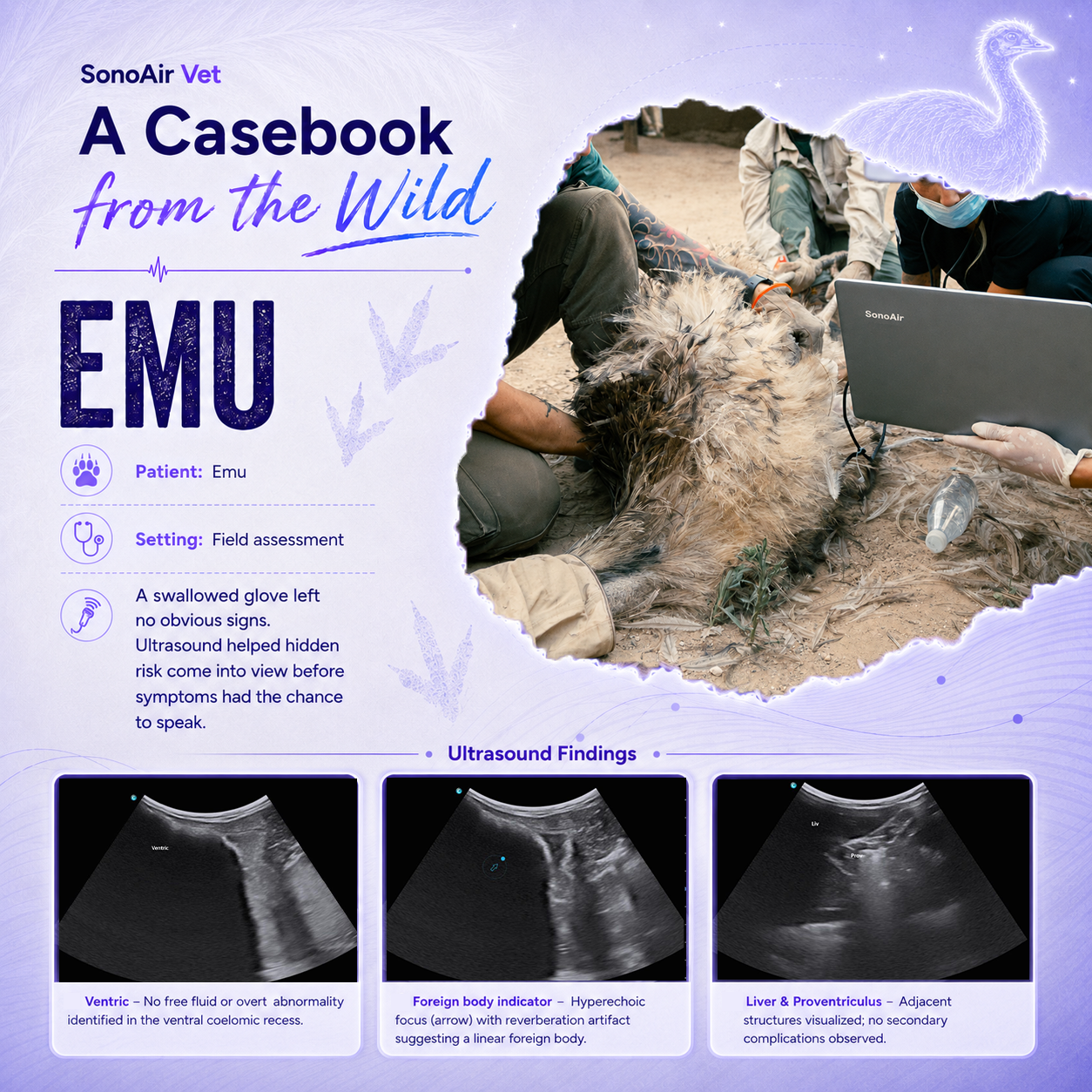 Animal Rescue | Beyond the Clinic : How SonoAir Vet brings ultrasound wherever animals need care. Animal Rescue | Beyond the Clinic : How SonoAir Vet brings ultrasound wherever animals need care.