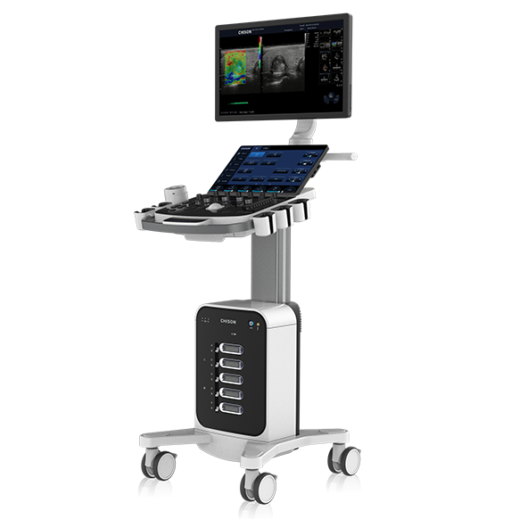 Liver Ultrasound: What It Shows, Benefits and Elastography
