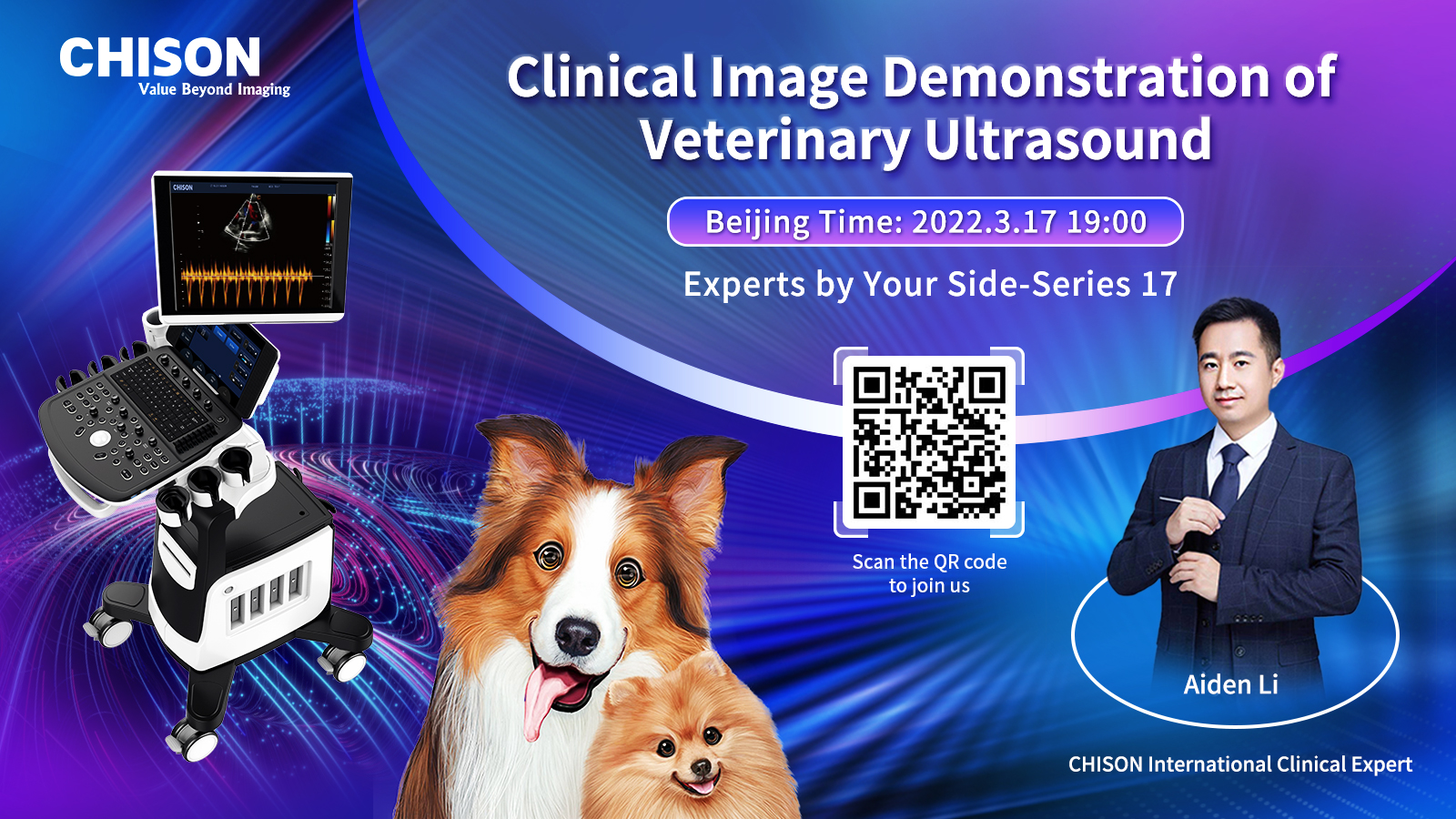 Clinical image demonstration of Veterinary ultrasound