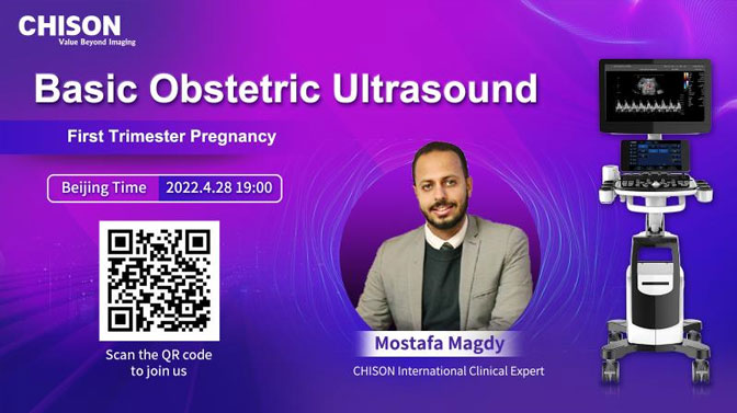 Basic Obstetric Ultrasound-Series 1