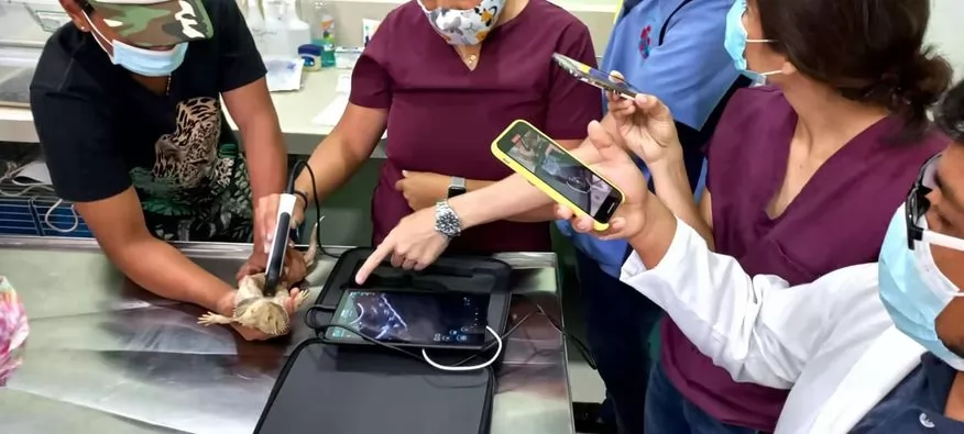 Portable Ultrasound Machine Veterinary device Portable Ultrasound Machine Veterinary device