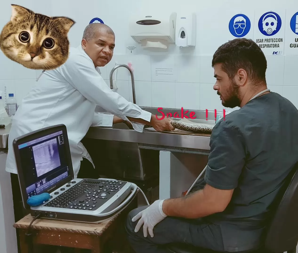 Portable Ultrasound Machine Veterinary device Portable Ultrasound Machine Veterinary device