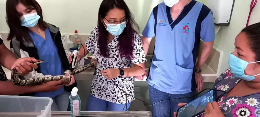 Mechanical sector probes result in higher image noise and less sharp images