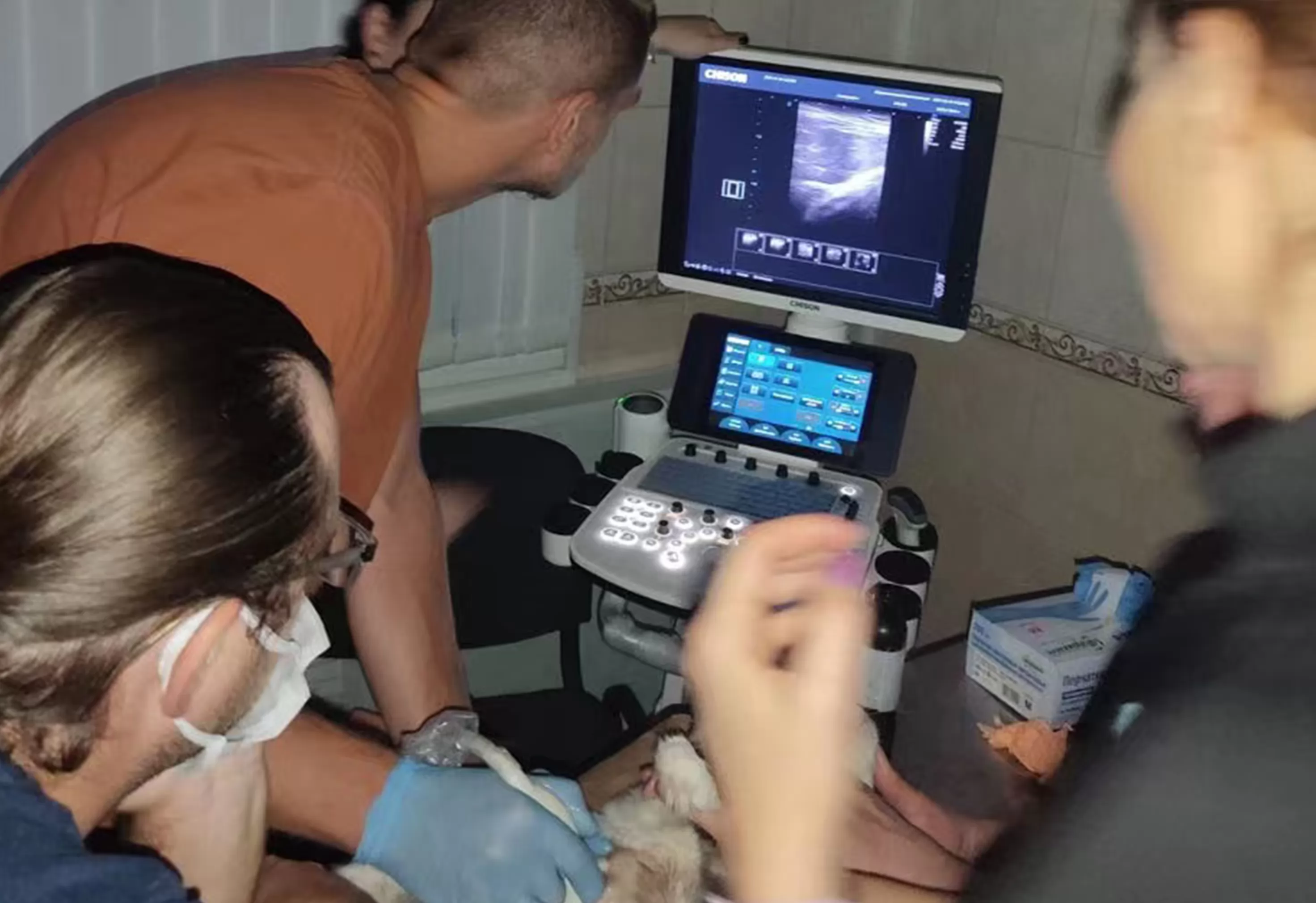 Designed for equine and companion animal examinations. Small, lightweight, portable system with 3 Doppler functions.