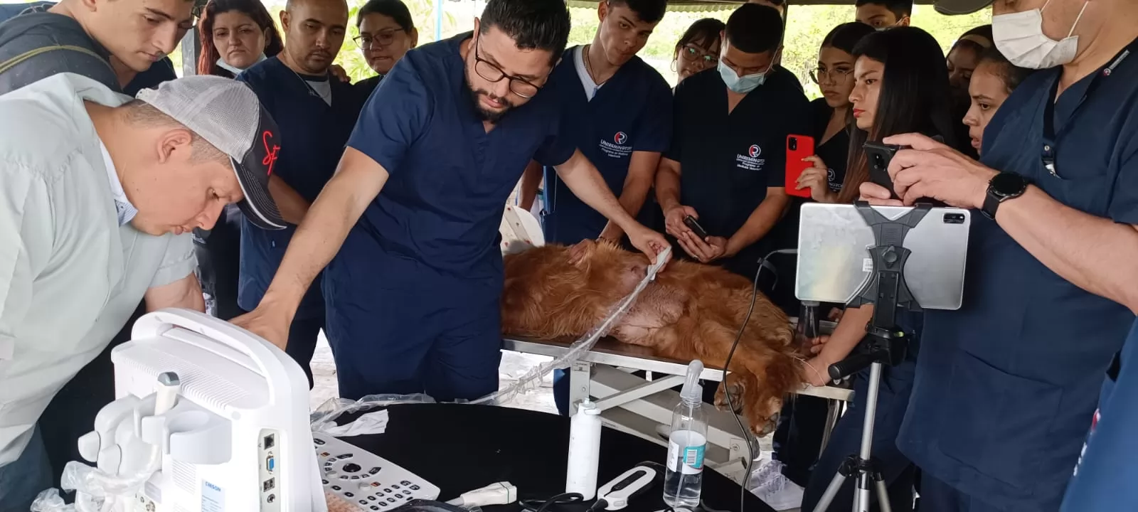 Dog ultrasound machines are commonly used in veterinary medicine to diagnose and monitor conditions such as pregnancy, ovarian cysts, tumors, and heart disease. 