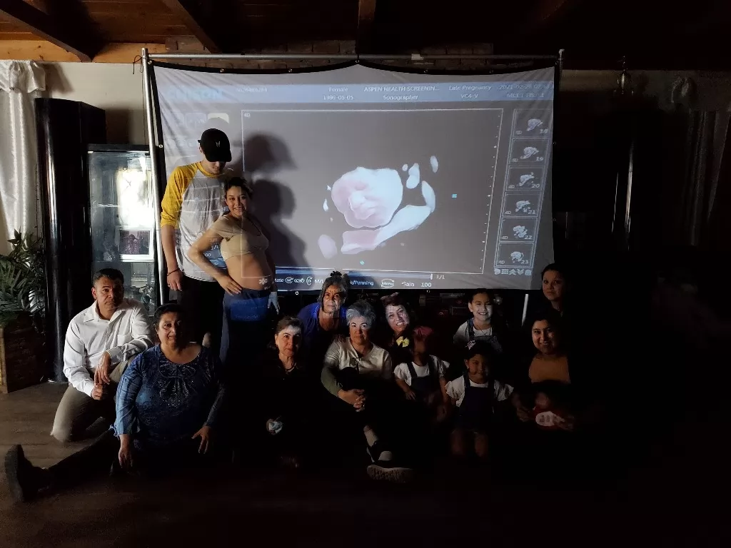 The transducer is a handheld device that emits high-frequency sound waves and captures the echoes that bounce back from the body