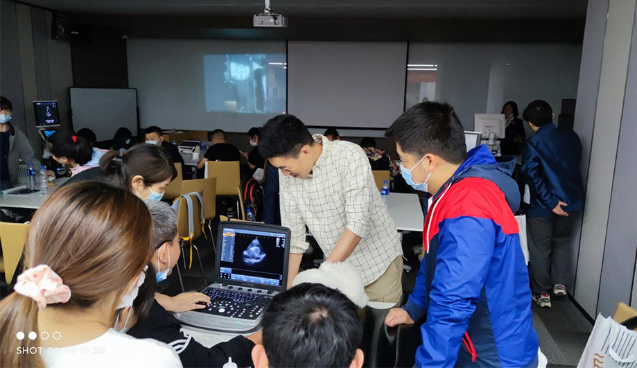 How to Choose Veterinary Ultrasound Machine?