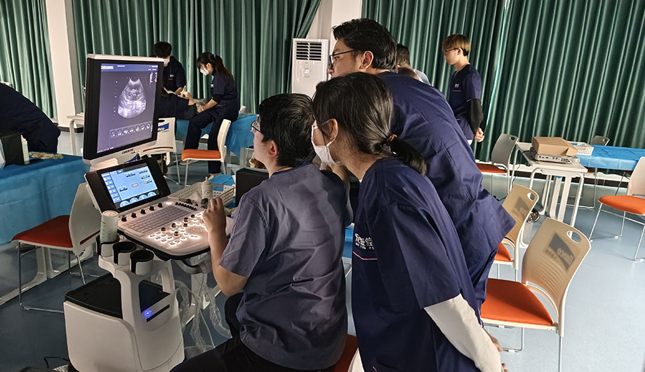 Understanding the Dominant Ultrasound Mode in Veterinary Medicine