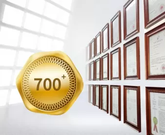 700+ Intellectual Property