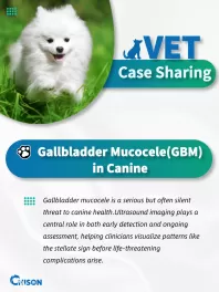Animal Case Sharing | Gallbladder Mucocele in Canine