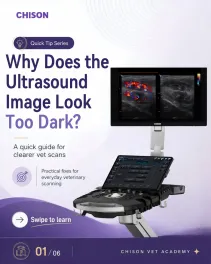 Why does the image look too dark?